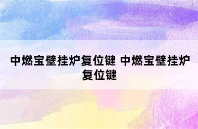 中燃宝壁挂炉复位键 中燃宝壁挂炉复位键